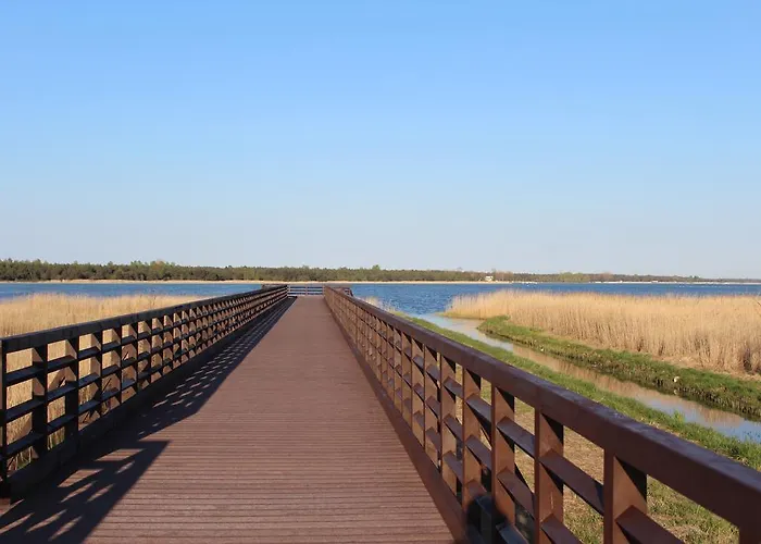 Komandor * Władysławowo